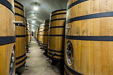 竞速新作《SPGP Super Polygon Grand Prix》月底发售